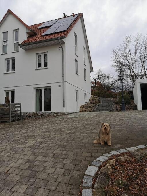 RAuszeit Daire Nittendorf Dış mekan fotoğraf